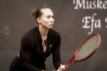 Ausschnitte 44 - Klipper Open